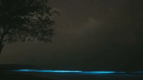 Blue lighting waves at night on tropical island Video stock 54615040