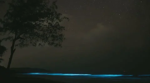 Blue lighting waves at night on tropical island Stock Footage 54615477