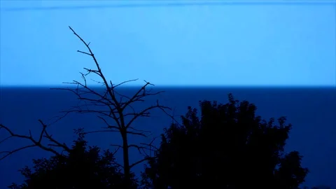 Blue Lightning Strikes in the Sky, view from the Forest Stock Footage 112632886