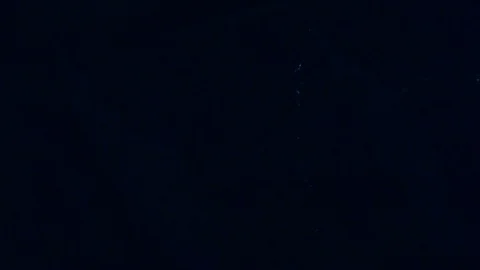 Blue Lightning Strikes, view from the Forest Stock Footage 109578922