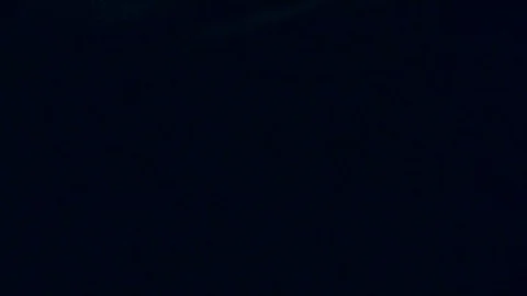 Blue Lightning Strikes, view from the Forest Stock Footage 109583300