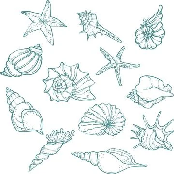 Blue line art sea elements set. Stylish blue line art set of sea elements Stock Illustration