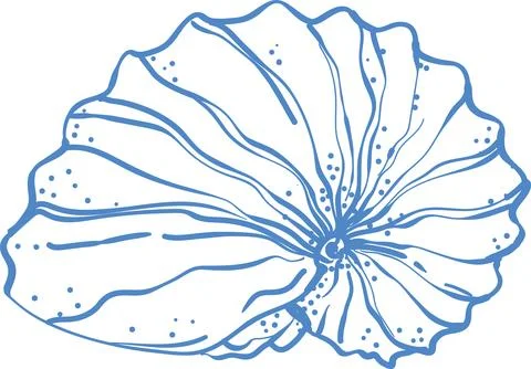 Blue line art seashell illustration, minimal nautical design vector Stock Illustration