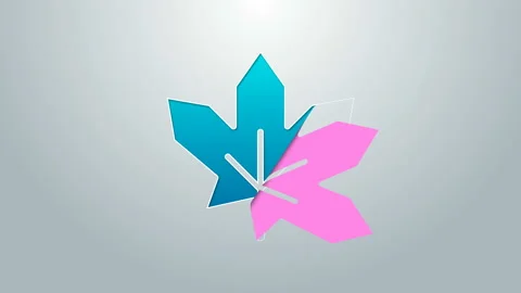 Blue line Canadian maple leaf icon isolated on grey background. Canada symbol Stock Footage 145377164