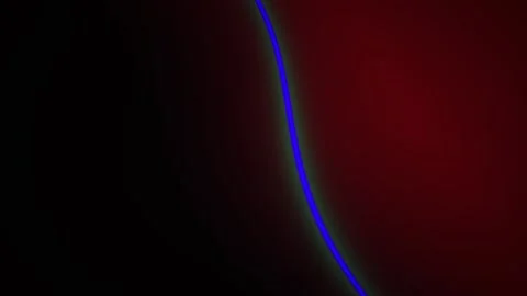 Blue Line Curves Dynamically over a Dark Red Gradient Background for Abstra.. Stock Footage 343691789