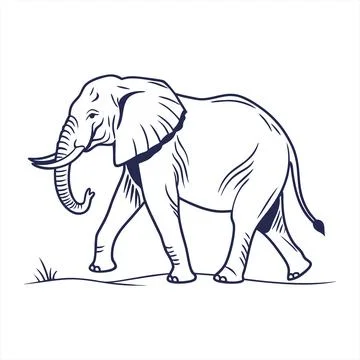A blue line drawing of an elephant walking on a plain vector Stock Illustration