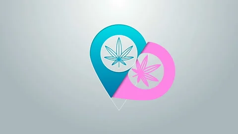 Blue line Map pointer and marijuana or cannabis leaf icon isolated on grey Video stock 145098996