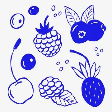 Blue line set of berries including raspberry, strawberry, cherry, blackberry Illustrazione stock