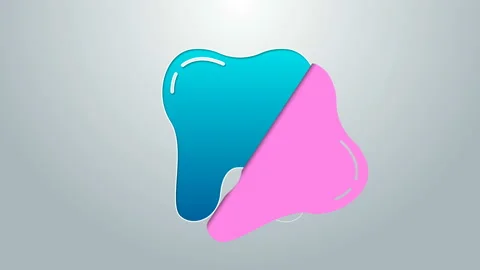 Blue line Tooth icon isolated on grey background. Tooth symbol for dentistry Stock Footage 145330621