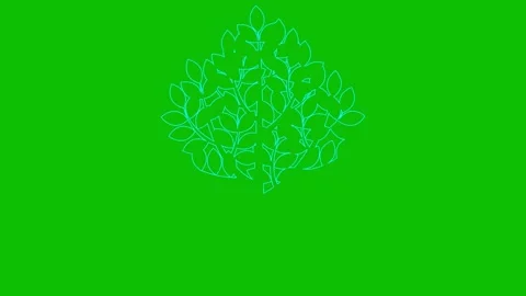 Blue line tree green Stock Footage 265432783