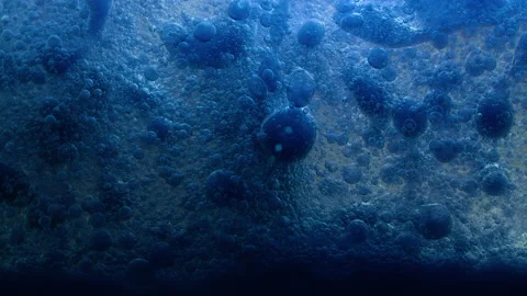 Blue liquid background. Macro shot of various air bubbles. Slow mo. Stock Footage 146743712