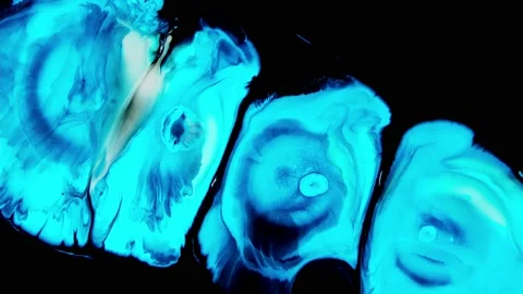 Blue liquid paints black background Video stock 169567298