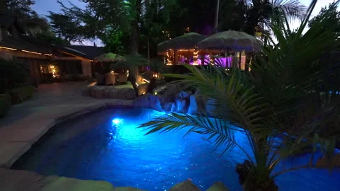 Blue lit backyard pool and tiki bar framed by a palm at dusk Stock Footage 345539098