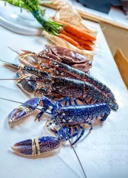 Blue lobster Stock Photos