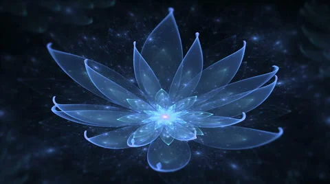 Blue lotus, water lily, enlightenment or meditation and universe, magic scene Stock Footage