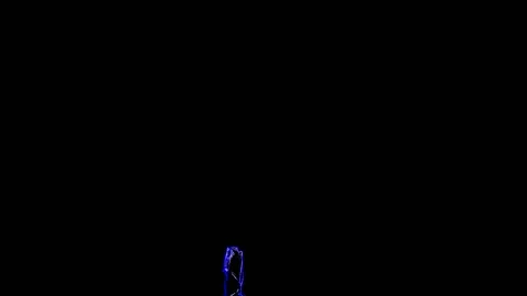 Blue Luminescent Leaf on Black Background Stock Footage 131332038