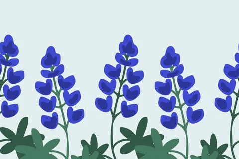 Blue lupine background Illustrazione stock