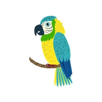 Blue Macaw Parrot Stock Illustration