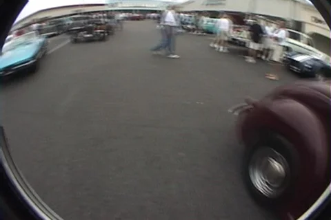 Blue maco corvette  Stock Footage 366907