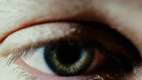 Blue Man Eye Iris Looking At Something, Reading A Book, Being Concentrate Stockbeeldmateriaal 85954740