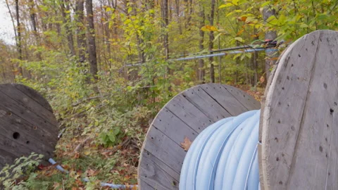 Blue maple sap lines with drum spool reel in autumn woods Stock Footage 313366092