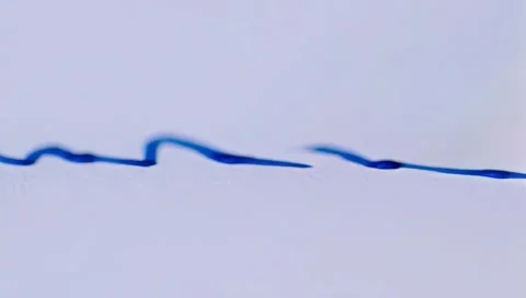 Blue marker Stock Footage 303843913