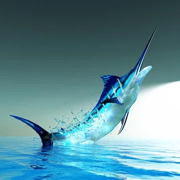 Blue Marlin Breaching Stock Illustration