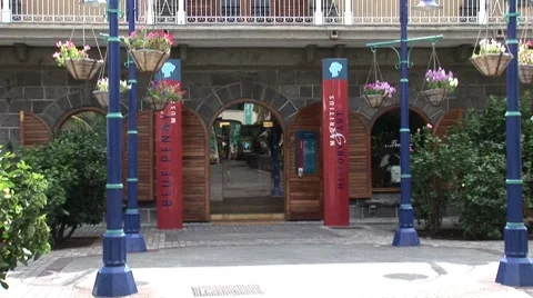 Blue Mauritius Stamp Museum Vídeo Stock 7756583