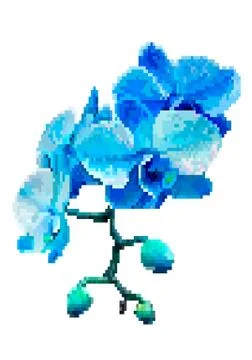 Blue meadow flowers pixel art Stock-Illustration