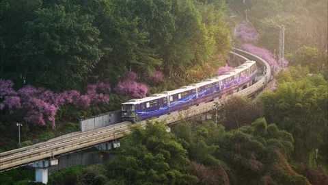 Blue Monorail Train Traveling Through Green Forest in Spring Video stock 342247566