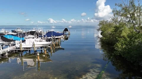 Blue Moon 01 Video stock 277897546