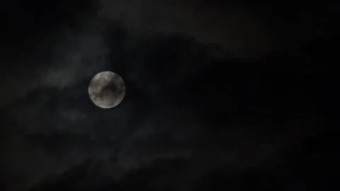 Blue Moon 21 August 2021 Stock Footage