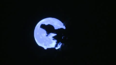 Blue Moon disappearing behind a tree at night Vídeo Stock 10796982