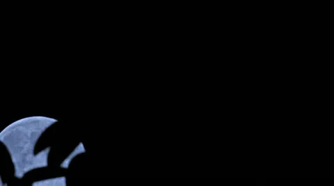 Blue Moon Stock Footage 11918006