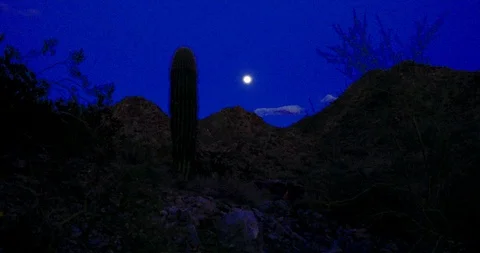 Blue Moon Stock Footage 121942553