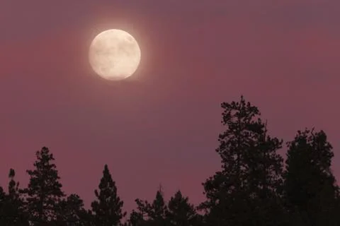 Blue moon, full moon Stock Photos