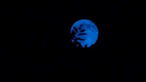 Blue Moon Rises Video stock 87612115