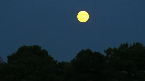 Blue moon rising Video stock 12169811