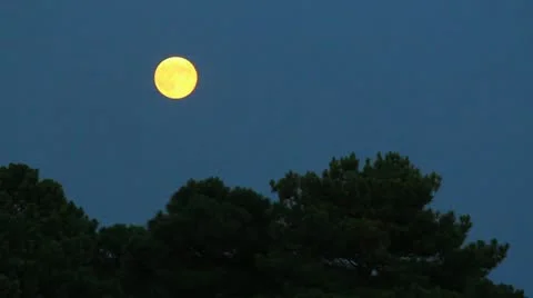 Blue moon rising Stock Footage 12169822