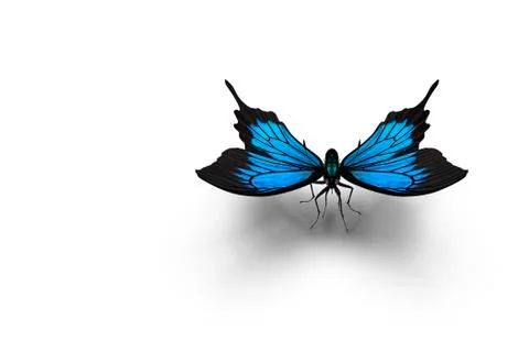 The Blue Morpho Butterfly . 3D rendering. Foto stock