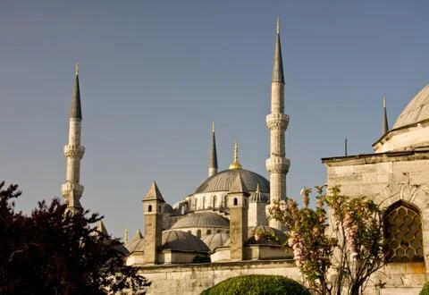 Blue mosque 8 Stock Photos