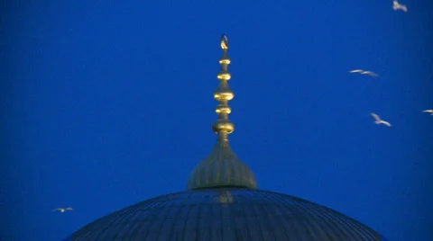 Blue Mosque Stock Footage 592958