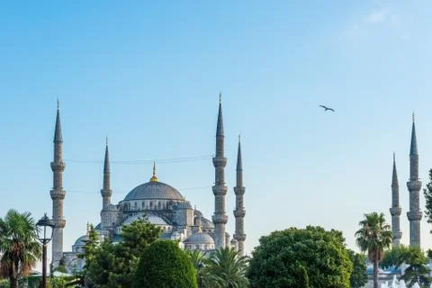 Blue mosque Stock Photos