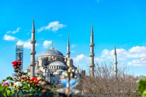Blue Mosque in spring Stock Photos