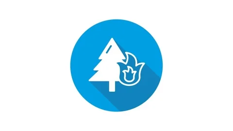 Blue motion graphic icon animation forest fire Stock Footage 125216653