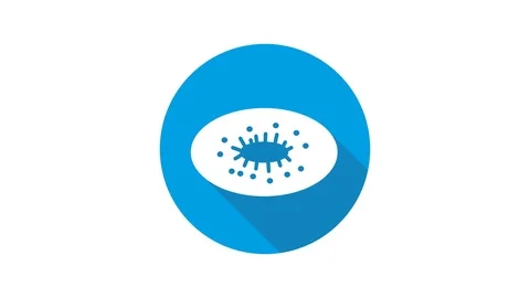 Blue motion graphic icon animation kiwi Stock Footage 125347103