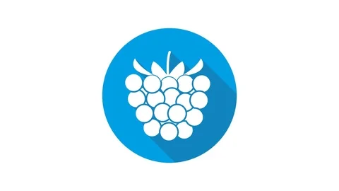 Blue motion graphic icon animation raspberry Stock Footage 125347126