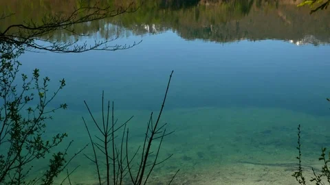 Blue Mountain Lake Surface and Plants on a Sunny Spring Day Video stock 133965069