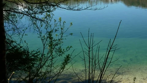 Blue Mountain Lake Surface and Plants on a Sunny Spring Day Video stock 133966209