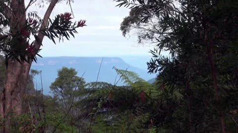 Blue Mountain Lookout Stock Footage 26124208